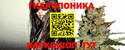 спиды Краснодар