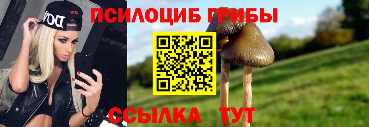Каменск-Уральский  Псилоцибиновые грибы мицелий  где купить   Псилоцибиновые грибы мухоморы  Вход с VPN 
